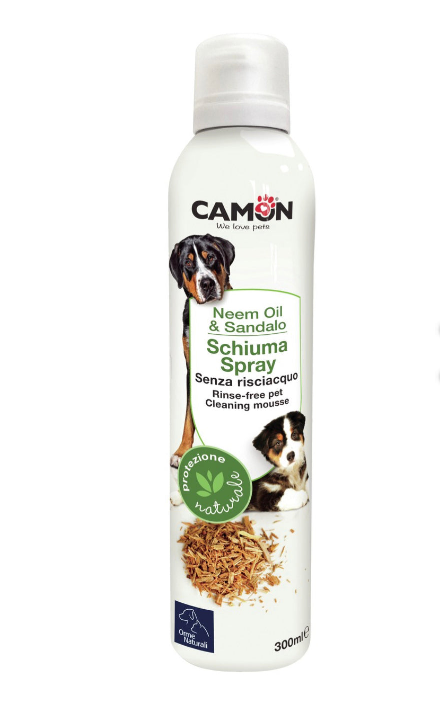 Shampoo a secco - Camon