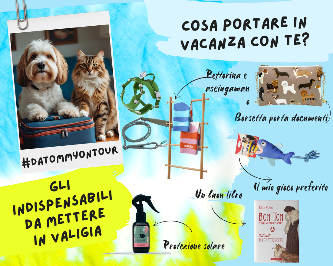 🐾 Ok, hai deciso di partire insieme al tuo migliore amico… Anche noi!!