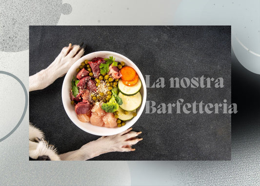 Snack BARF Naturali per Cani: Benefici della Masticazione e Linea “Più Buono”