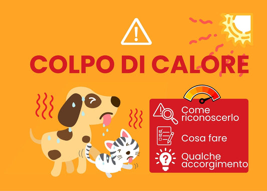 Come proteggere il cane dal caldo: guida completa 2026 ☀️🐶