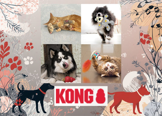 Giochi KONG per cani e gatti: guida completa ai migliori giochi interattivi per il tuo pet 🐶🐱