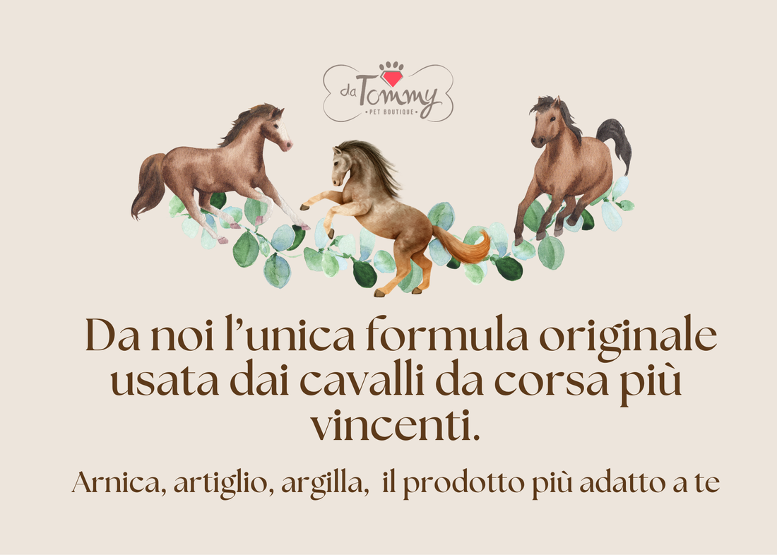 Recupero muscolare naturale a gennaio: da DA TOMMY arnica, artiglio e gel sportivi 90%, formula originale usata dai cavalli da corsa più vincenti. 💪