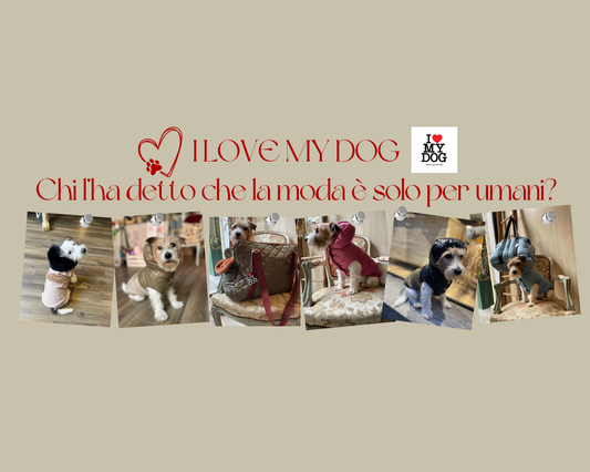 I Love My Dog è più di un brand: è una scelta d’amore per il tuo cane.