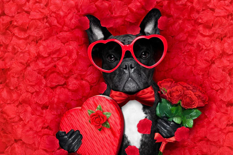 Tutto l'AMORE che meritano