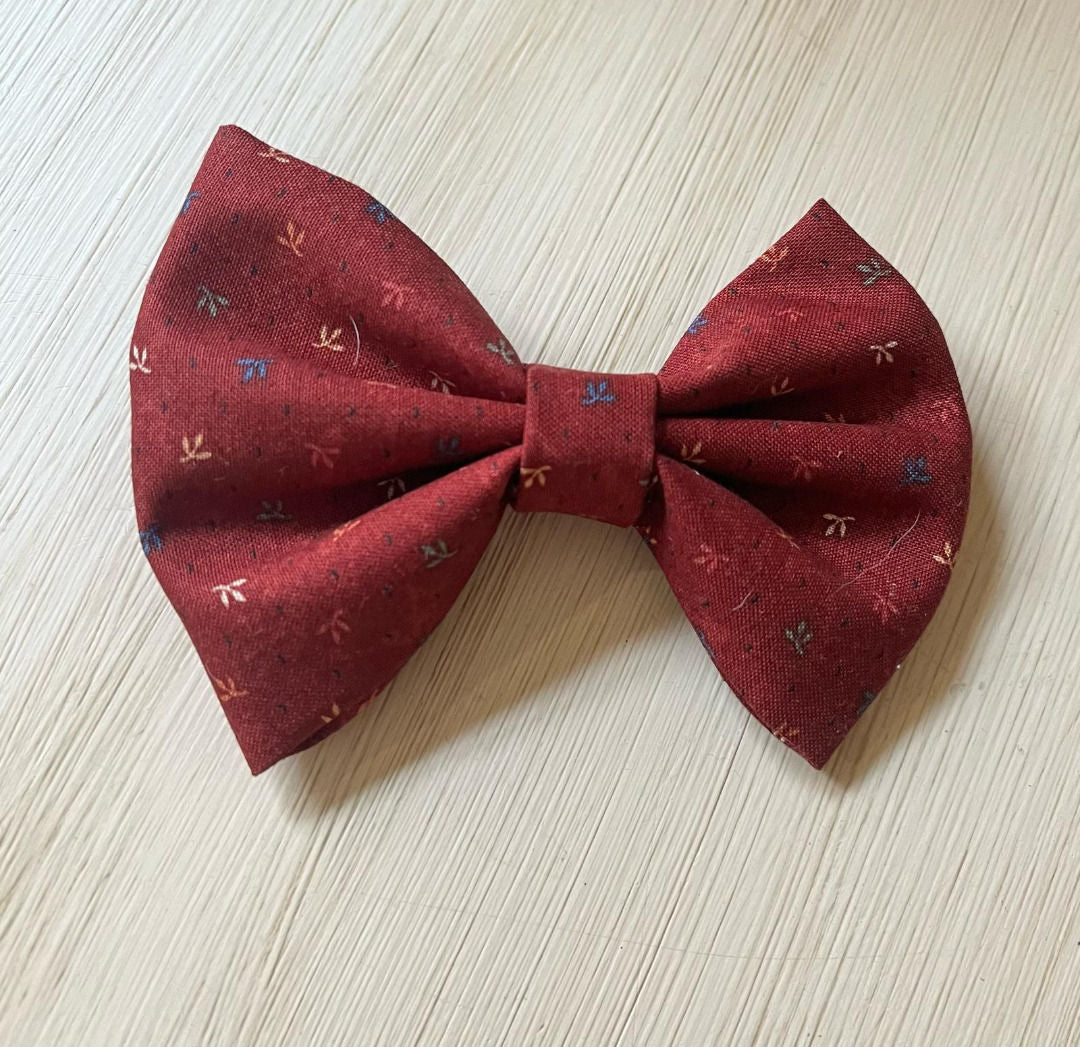 Papillon  - Da Tommy Pet Boutique