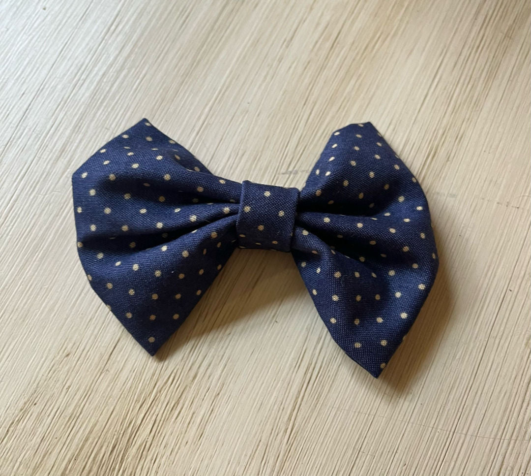 Papillon  - Da Tommy Pet Boutique