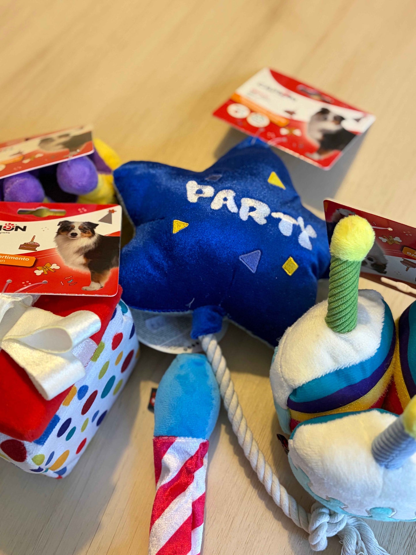 Gioco “Birthday Party” - Camon