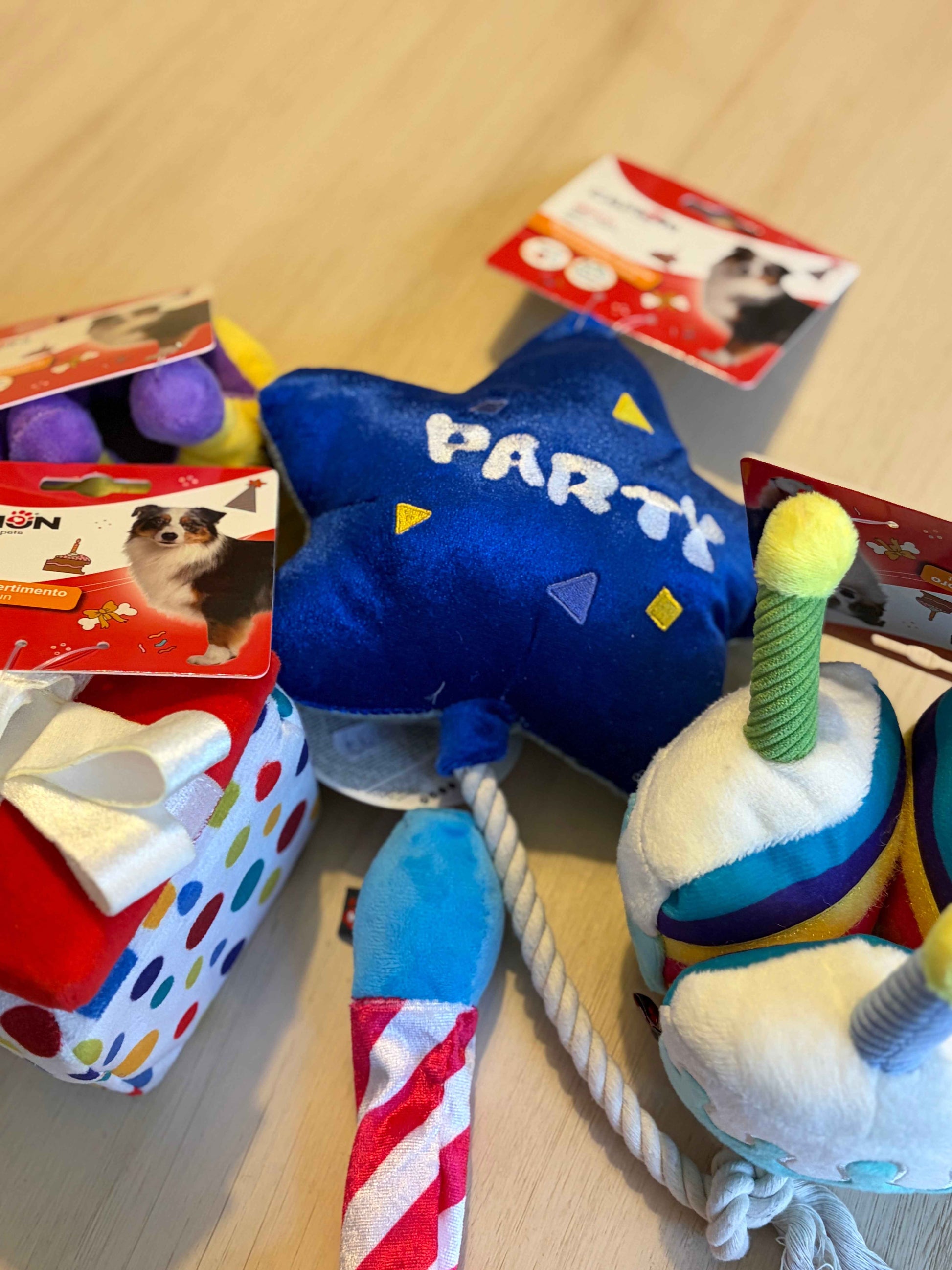 Gioco “Birthday Party” - Camon