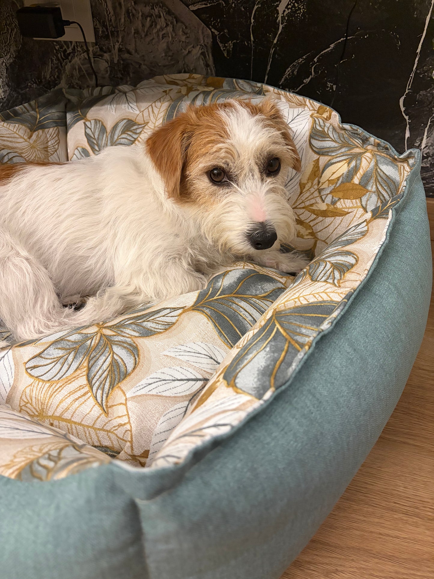 Cuccia Sfoderabile "Gaia" - Pet Home (Anteprima)