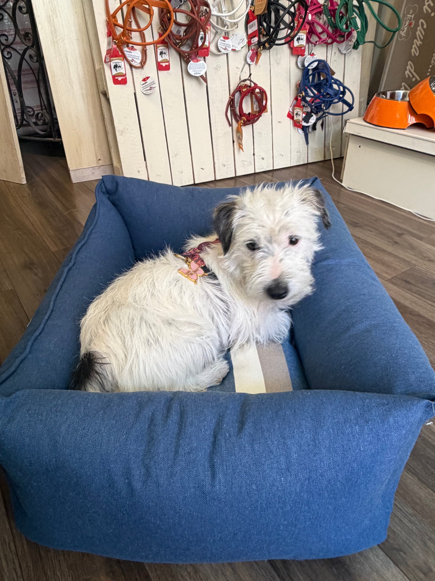 Cuccia Sfoderabile "Harry" - Anteprima