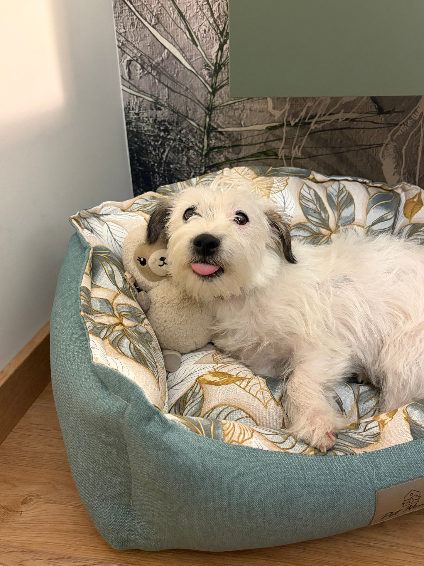 Cuccia Sfoderabile "Gaia" - Pet Home (Anteprima)