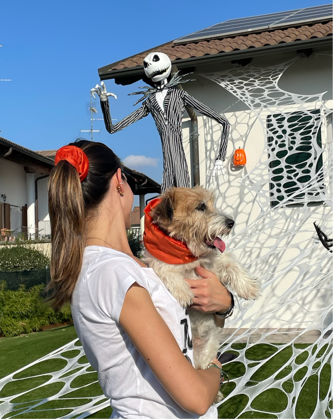 Paraorecchie Morbido Velluto - Da Tommy Pet boutique