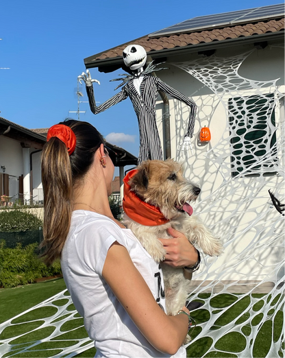 Paraorecchie Morbido Velluto - Da Tommy Pet boutique