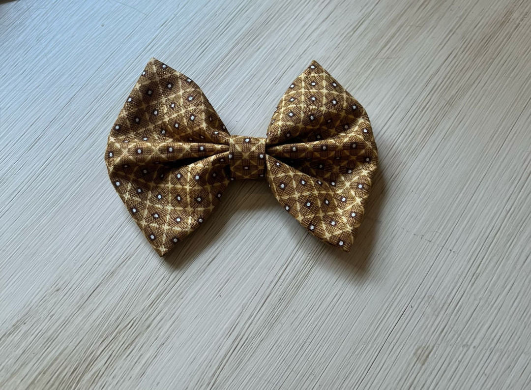 Papillon  - Da Tommy Pet Boutique