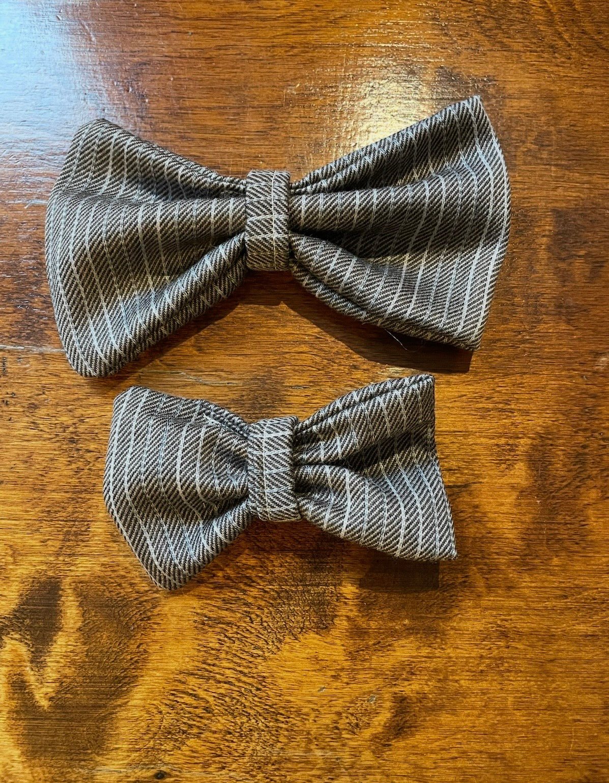 Papillon - Da Tommy Pet Boutique