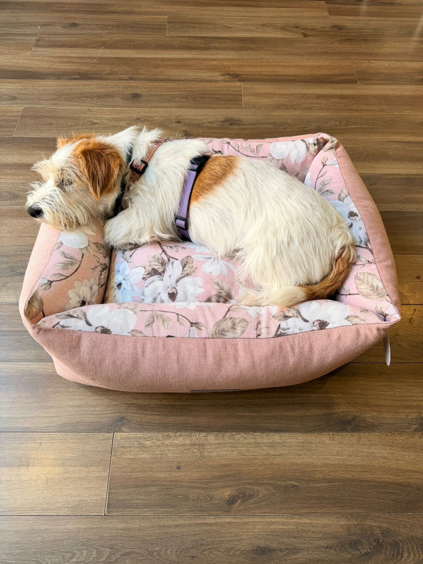 Cuccia Divanetto "Leonardo" bicolor - Pet Home (Anteprima)