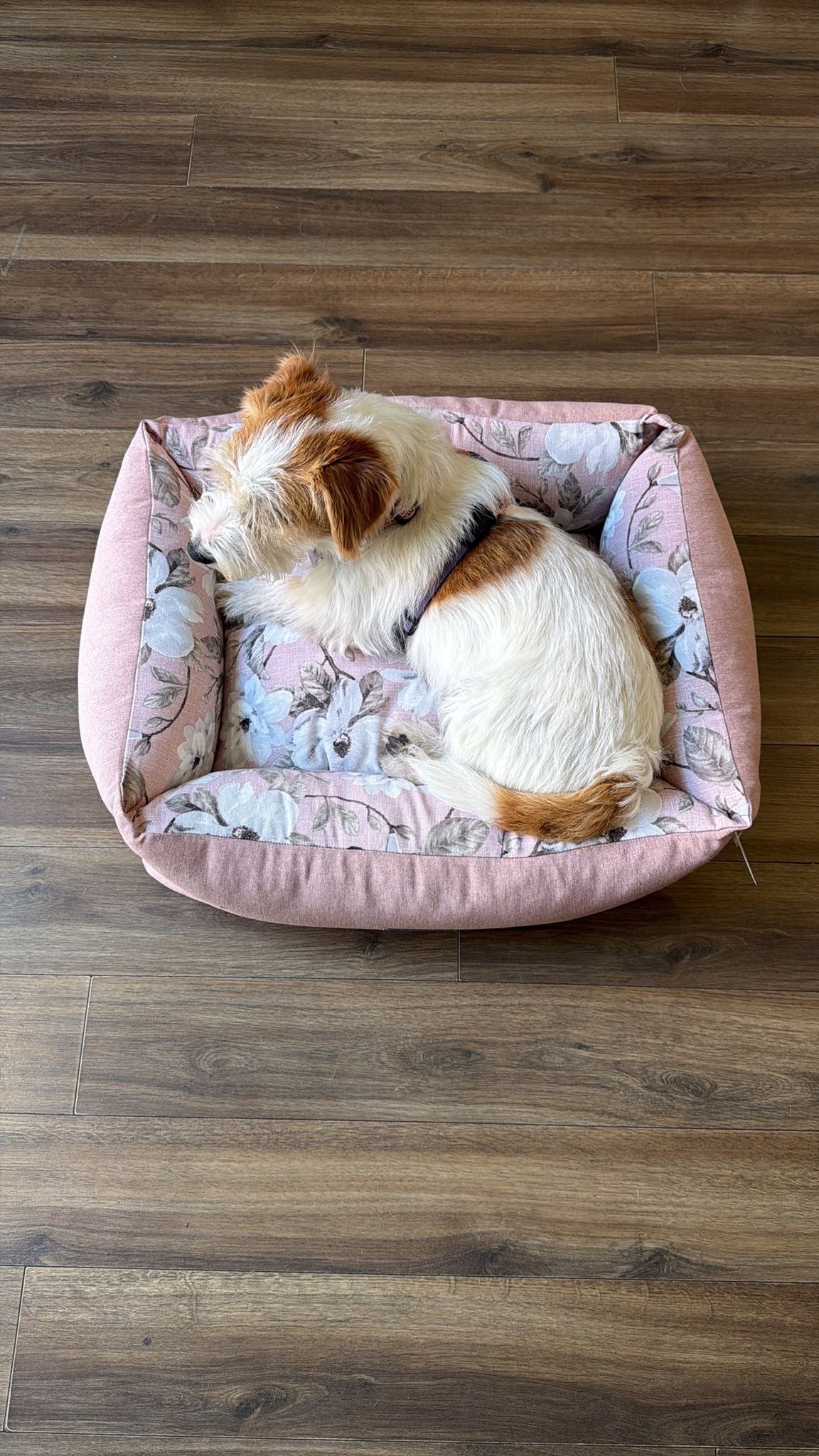 Cuccia Divanetto "Leonardo" bicolor - Pet Home (Anteprima)