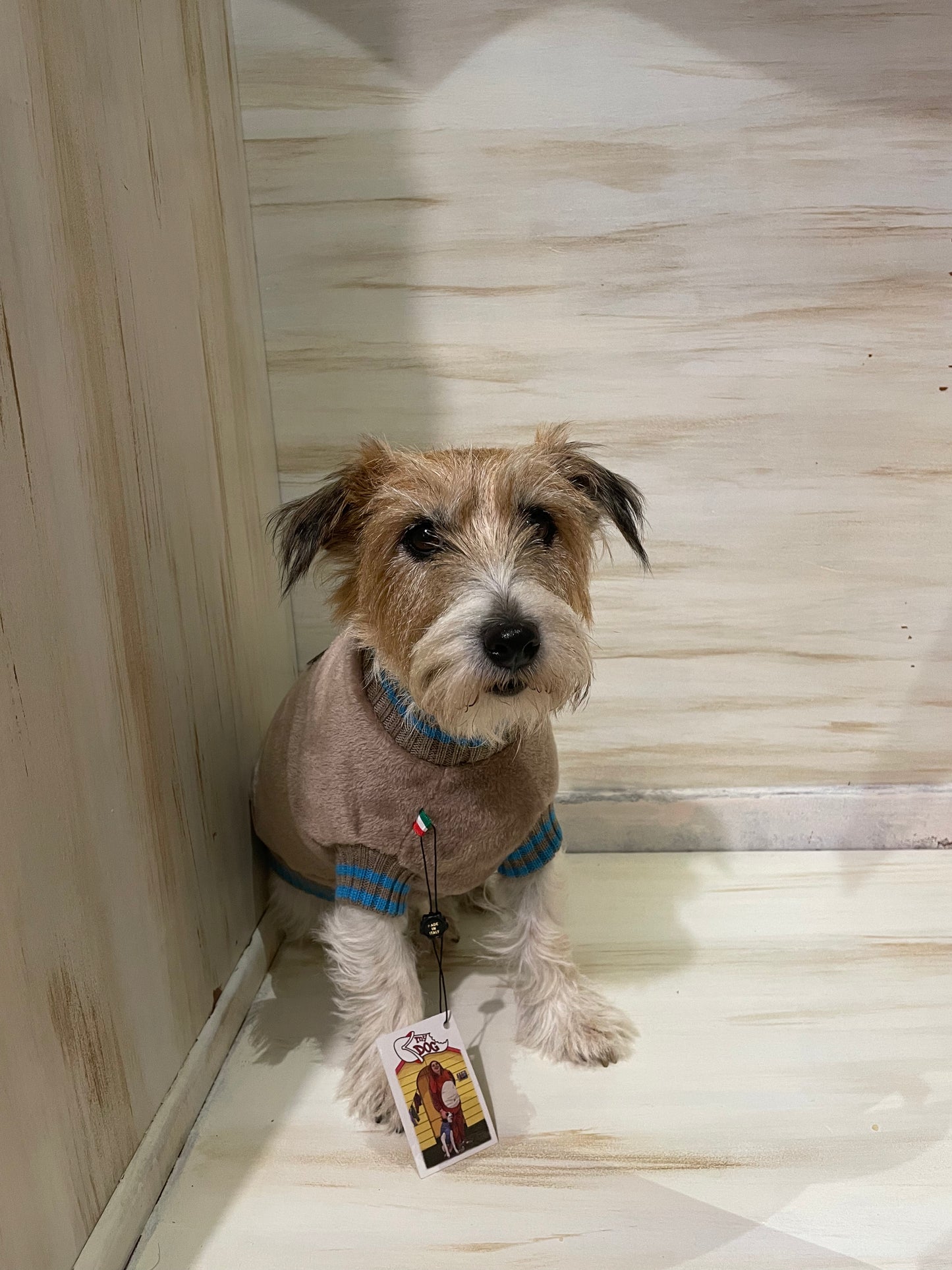 Pelliccetta "Teddy" ULTIME TAGLIE - My Dog