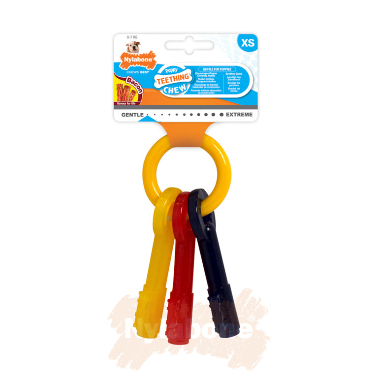 Gioco da masticare insaporito ''Puppy''  - Nylabone