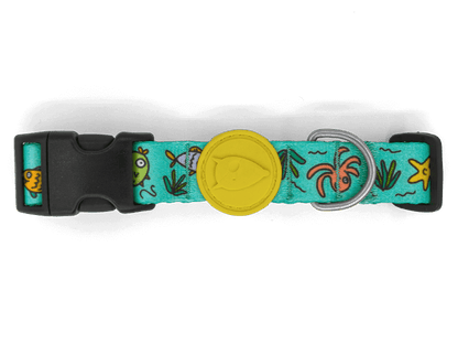 Collare "Ocean Trek" Recycled - Morso
