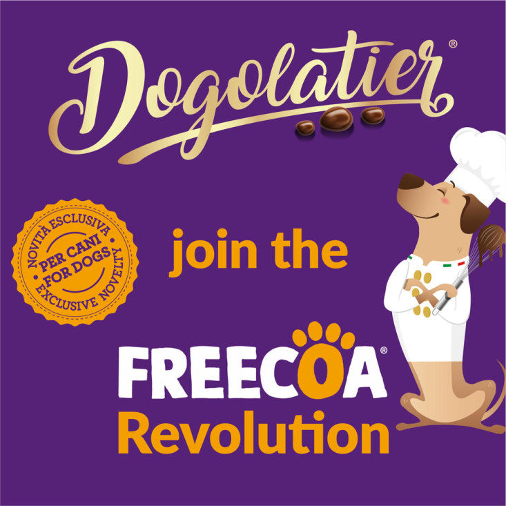 Box degustazione Dogolatier LIMITED EDITION - Doggyebag