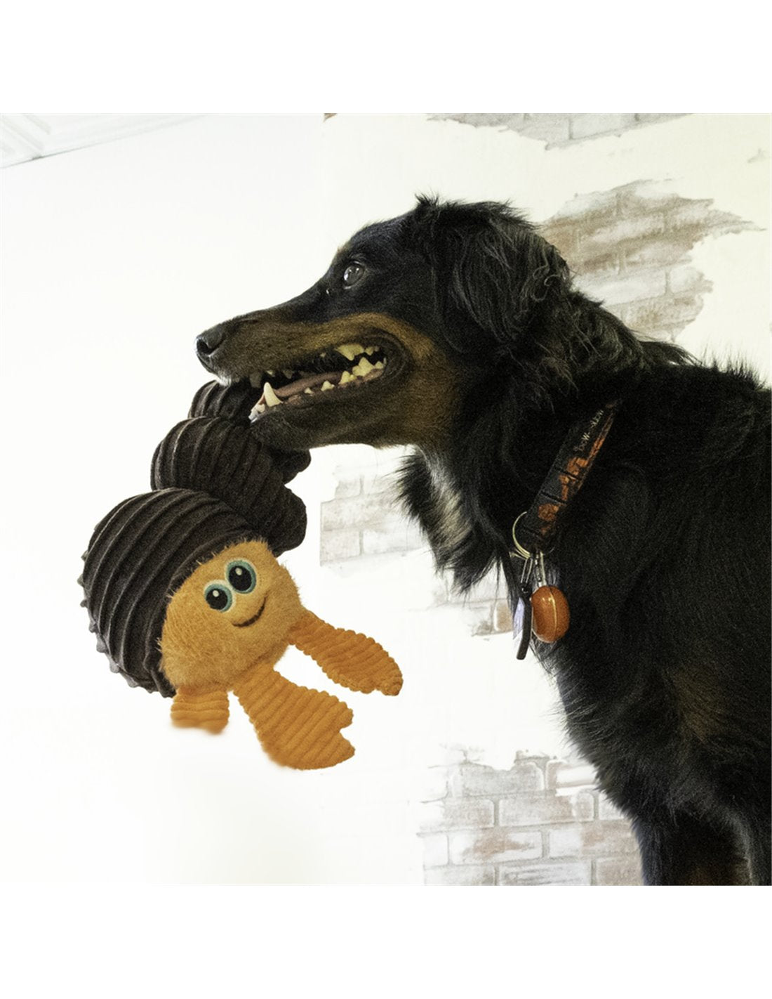 Gioco peluche "Cuteseas Rufflez Paguro" - Kong