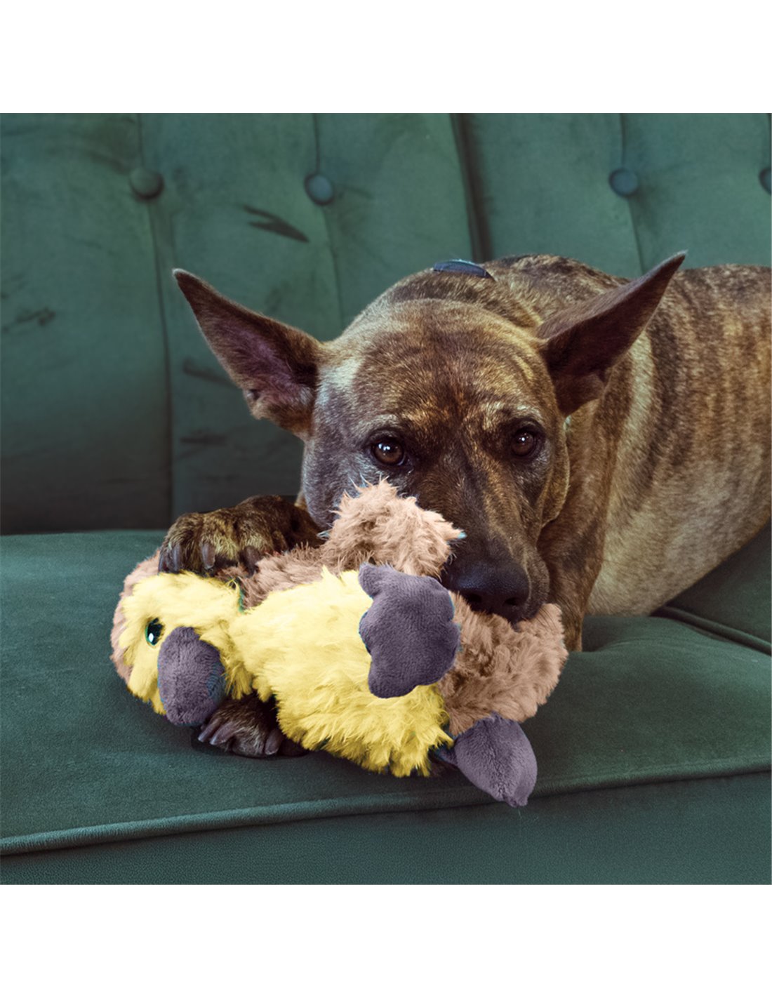 Gioco peluche "Comfort Tykes" - Kong