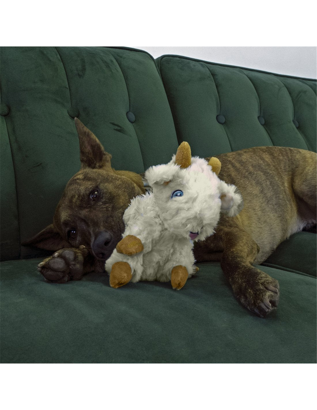 Gioco peluche "Comfort Tykes" - Kong