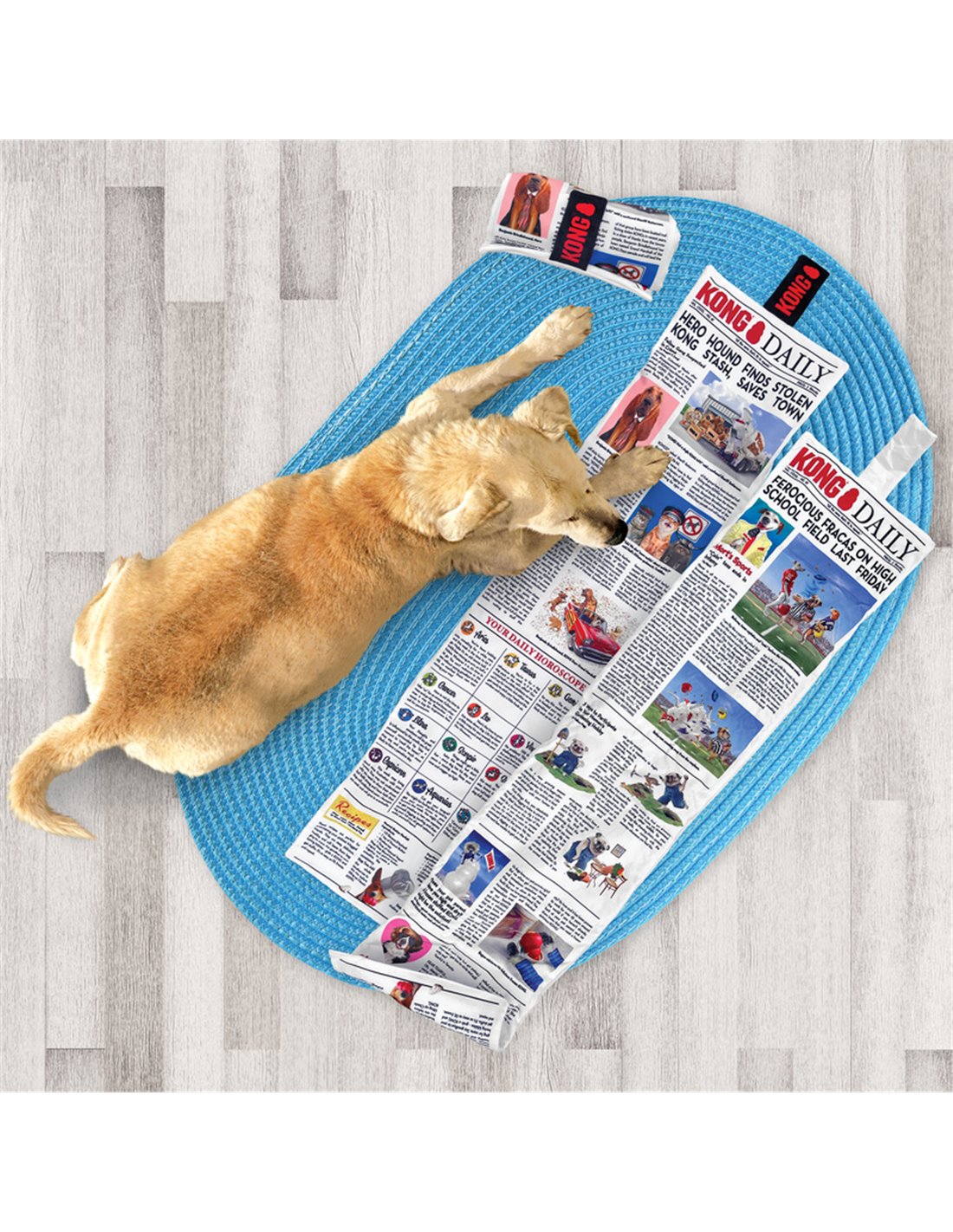 Gioco "Daily Newspaper" XL - Kong