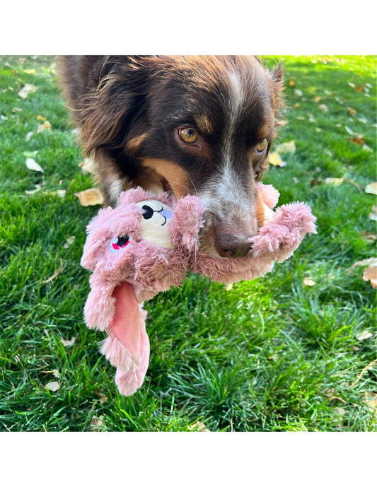 Gioco peluche "Scrumplez Coniglietto" - Kong