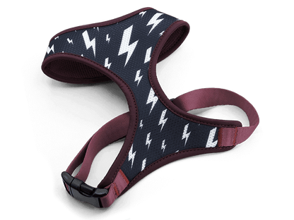 Pettorina Airmesh "Power Flow" Recycled - Morso