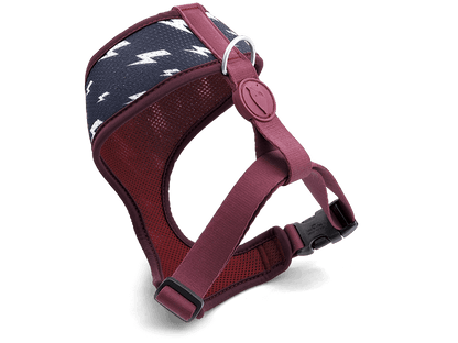 Pettorina Airmesh "Power Flow" Recycled - Morso