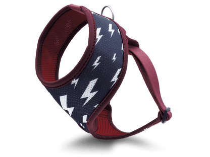 Pettorina Airmesh "Power Flow" Recycled - Morso