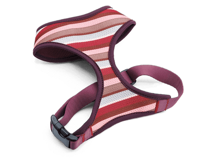 Pettorina Airmesh "Skyline" Recycled - Morso