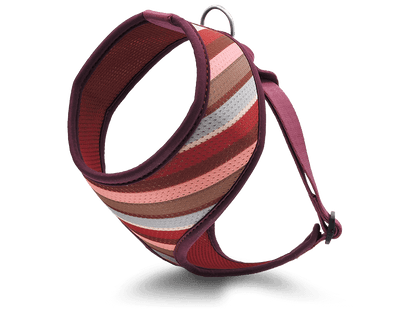Pettorina Airmesh "Skyline" Recycled - Morso