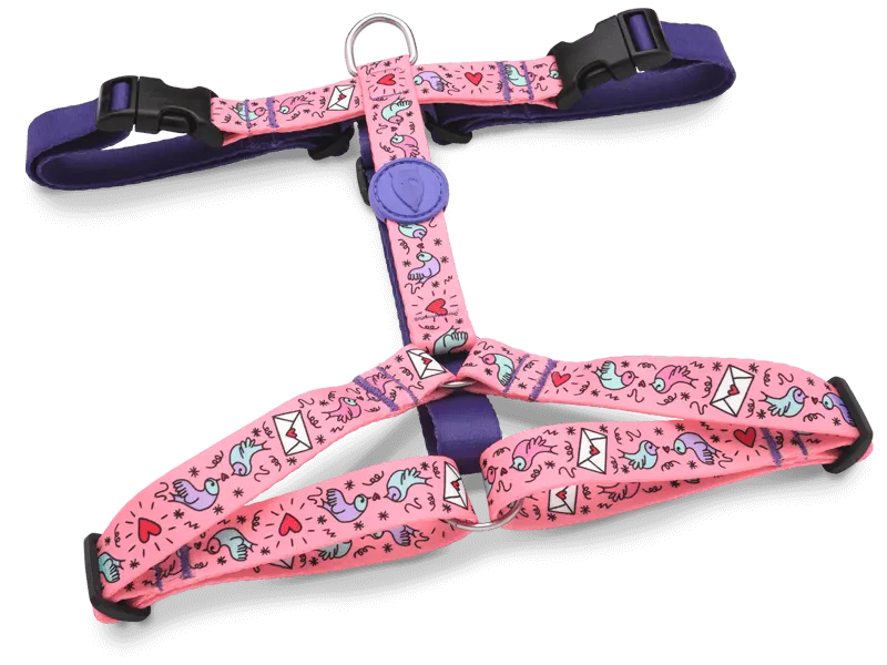 Pettorina H "Sweet Tweet" RECYCLED - Morso