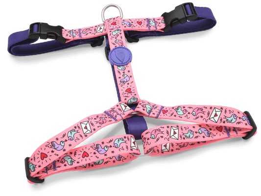 Pettorina H "Sweet Tweet" RECYCLED - Morso