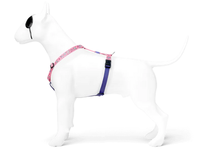 Pettorina H "Sweet Tweet" RECYCLED - Morso