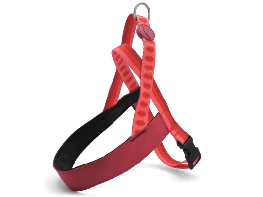 Pettorina norvegese "Lipstick" RECYCLED - Morso