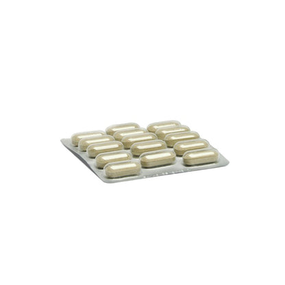 Integratore Alimentare “Enterosalus” - Camon