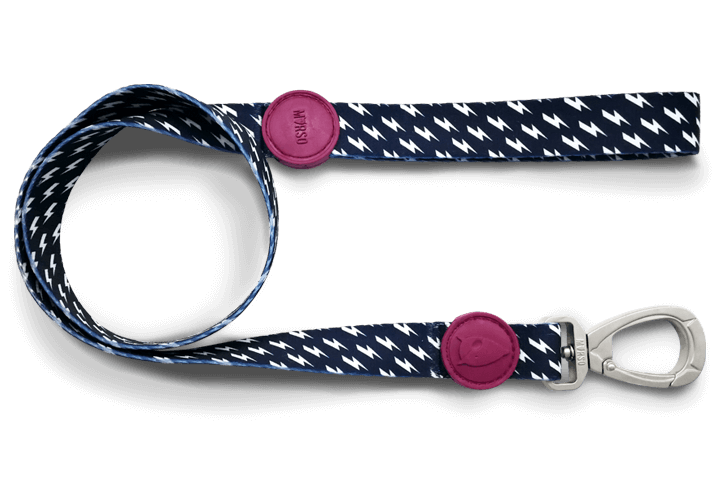 Guinzaglio "Power Flow" - Morso