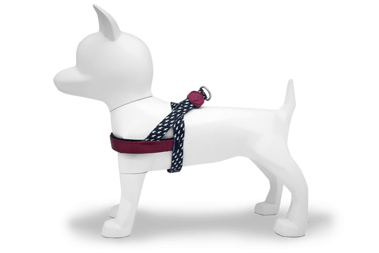 Pettorina norvegese "Power Flow" - Morso