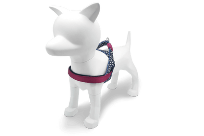 Pettorina norvegese "Power Flow" - Morso