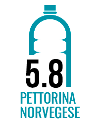 Pettorina norvegese "Sweet Tweet" RECYCLED - Morso